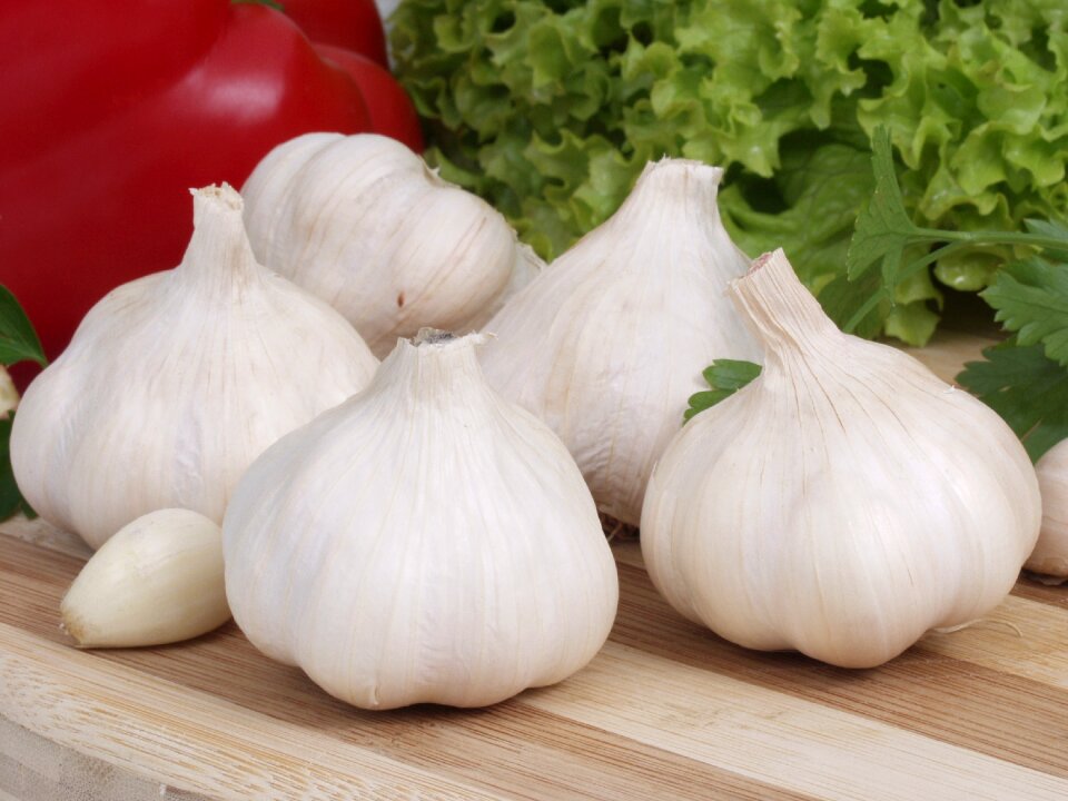 Cloves garlic główkowaty food