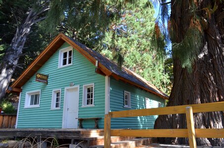 Forest cabin