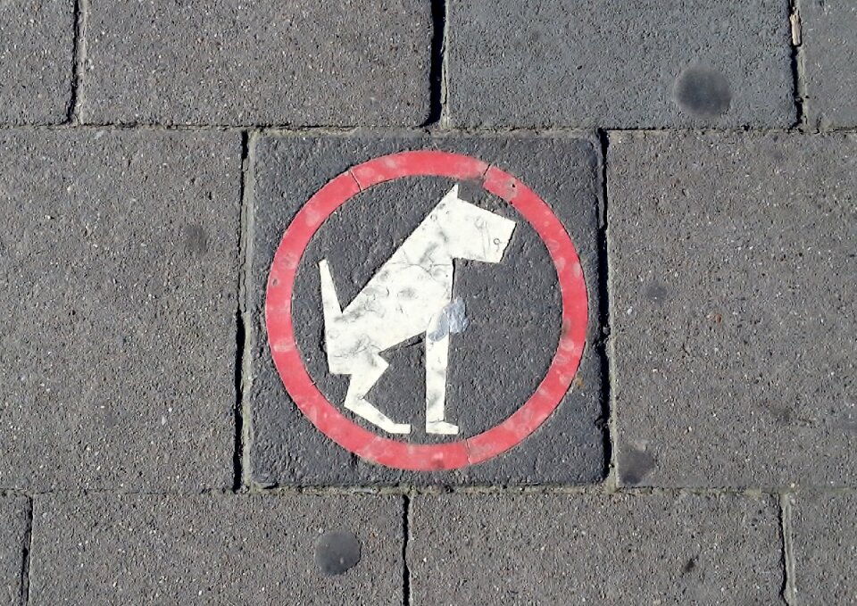 Dog roadsign