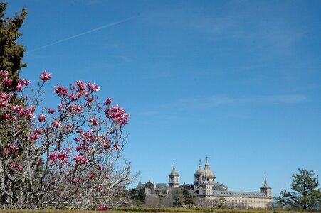 San lorenzo architecture landscape