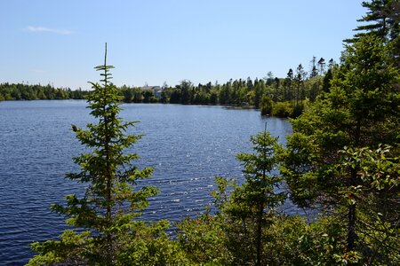 Nova scotia nature photo