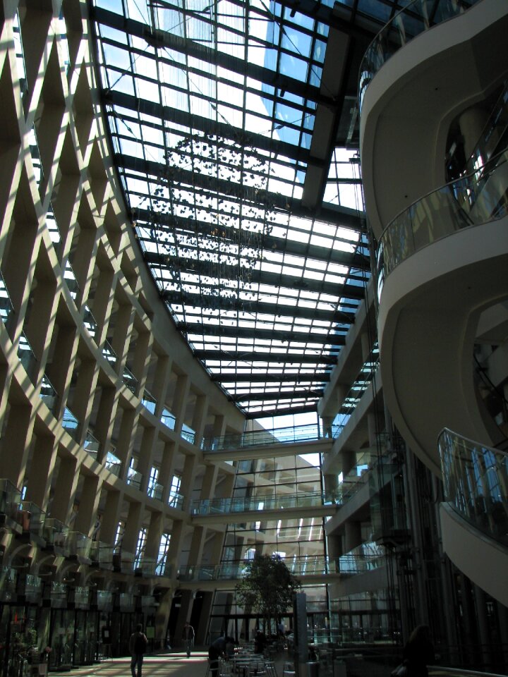 Architecture interior gray library