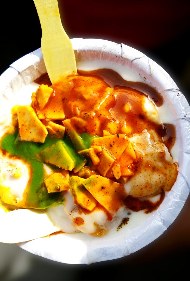 Fresh culture meal