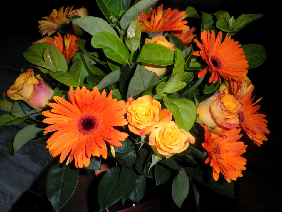 Flourish nature spring