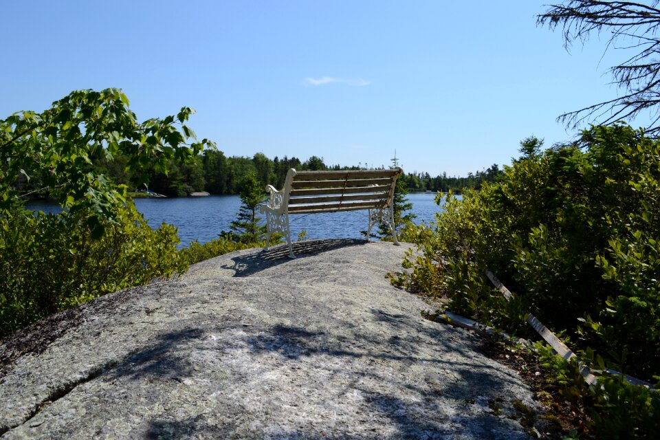 Nature summer outdoor