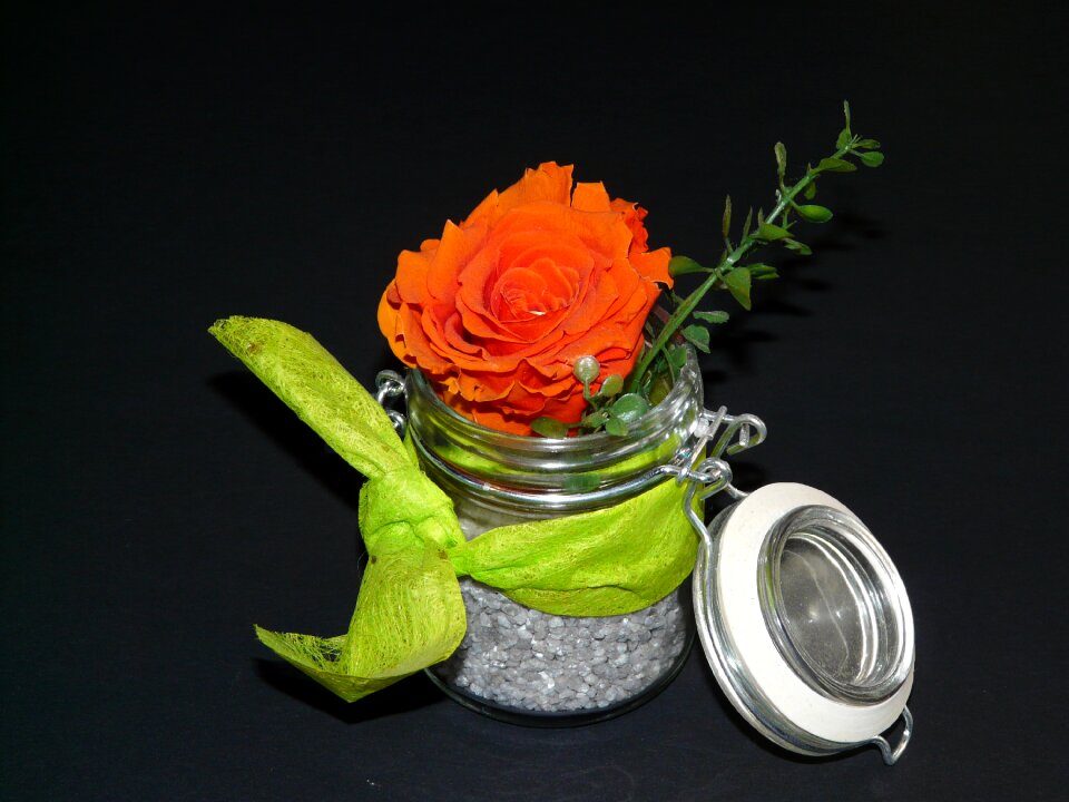Decoration blossom bloom