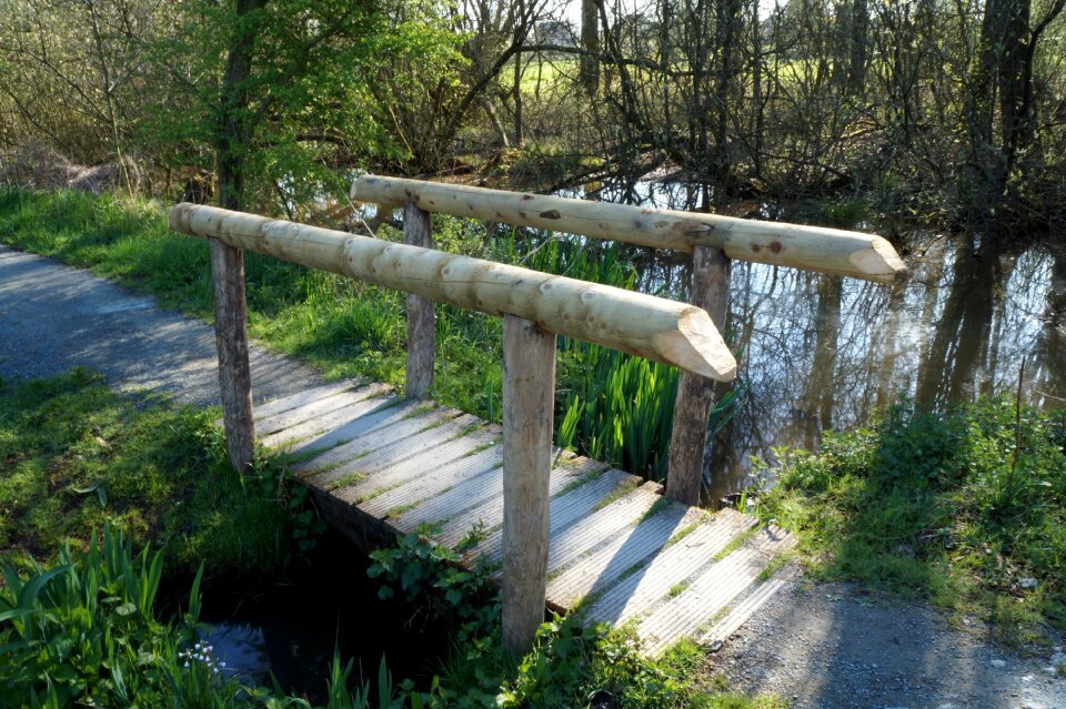 Bridge stream nature