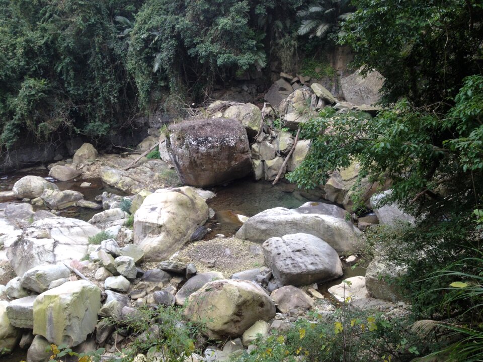 Rock landscape the wild