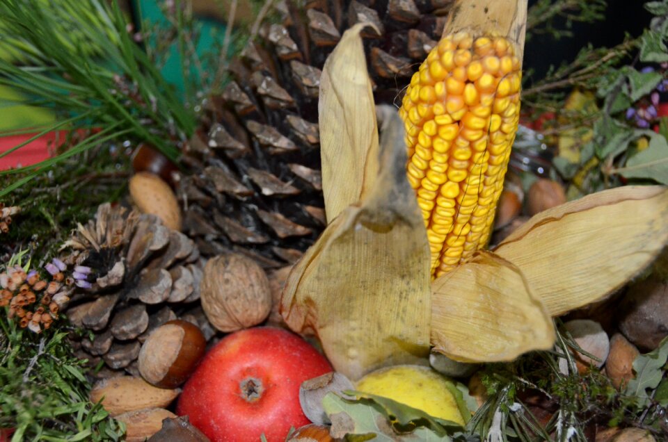 Autumn center fruits