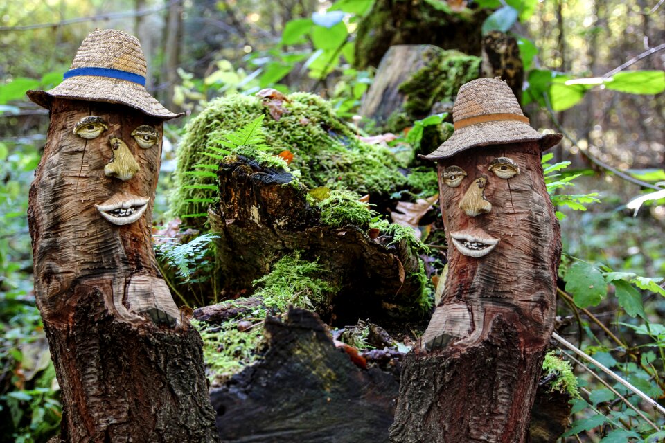 Sawed off log figure