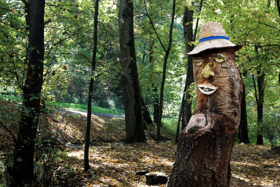 Sawed off log figure