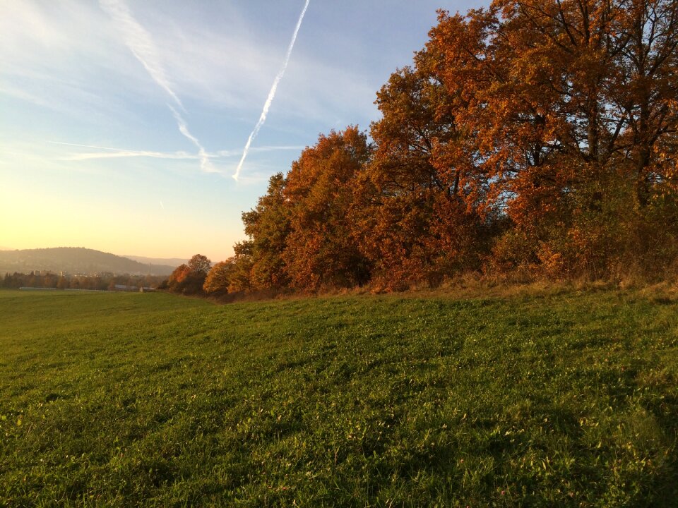 Field sun colors