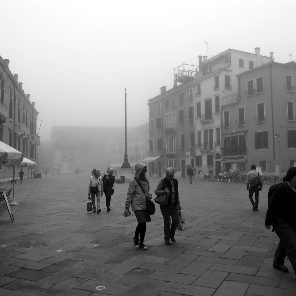 Fog landscape quiet
