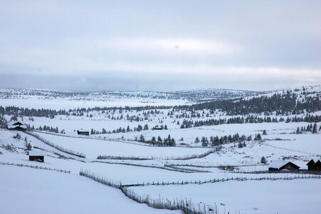 øyerfjellet dairy farming winter