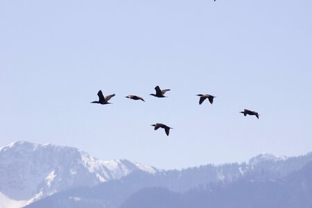 Sky mountains nature photo