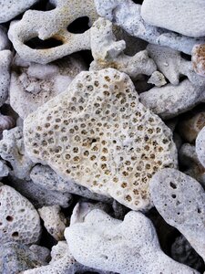 Stone natural beach