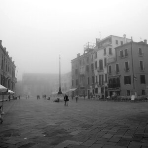 Fog landscape quiet