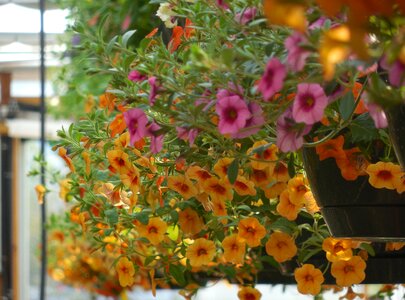 Plant green gardening