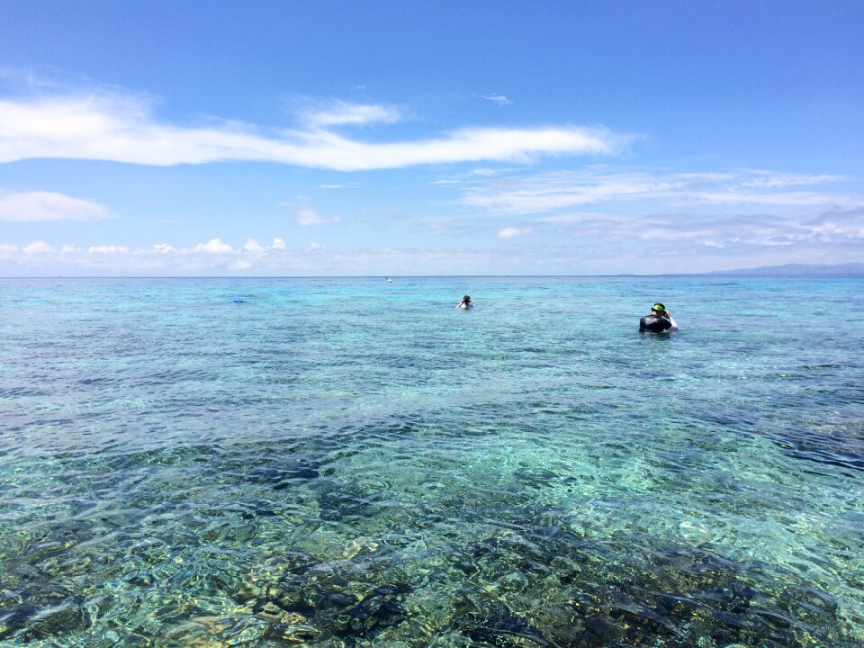 Snorkeling beach tropical