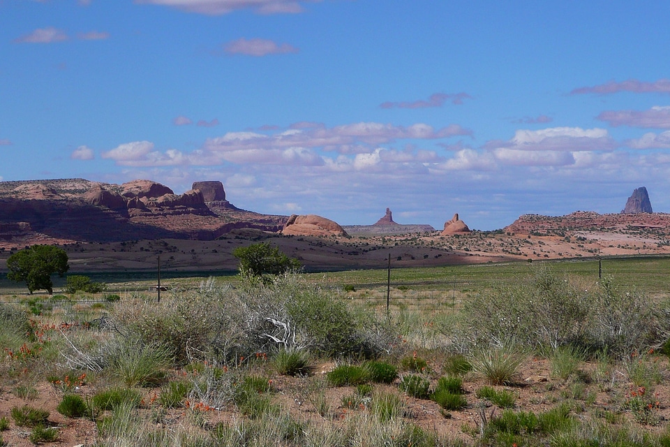 Usa desert sand