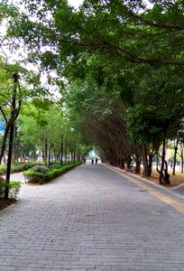 Road figure leisure