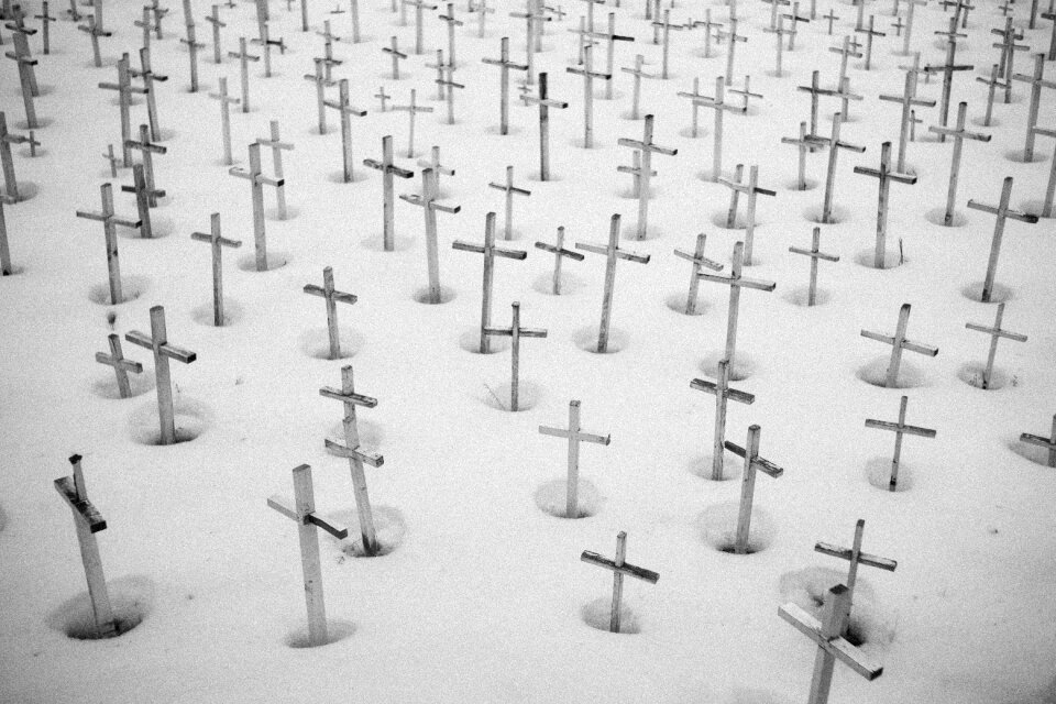 Snow cross winter