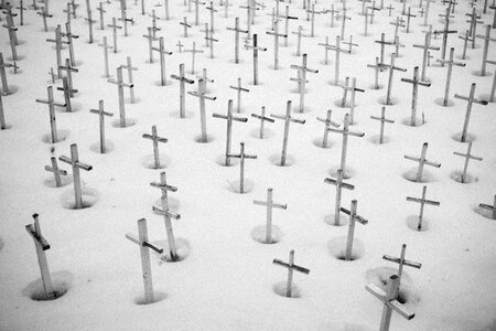 Snow cross winter