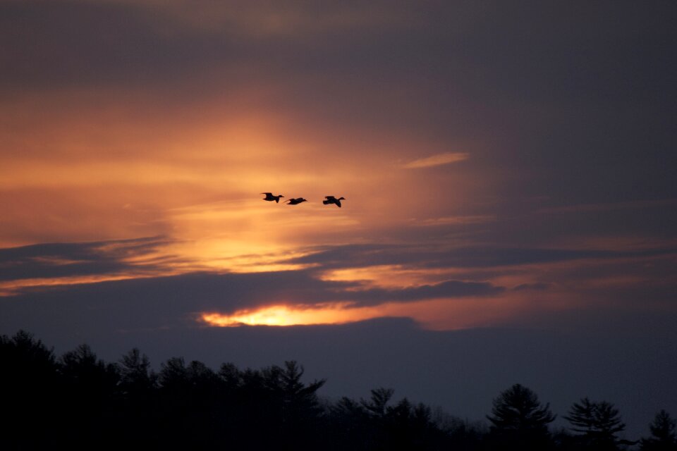 Sunset evening scene