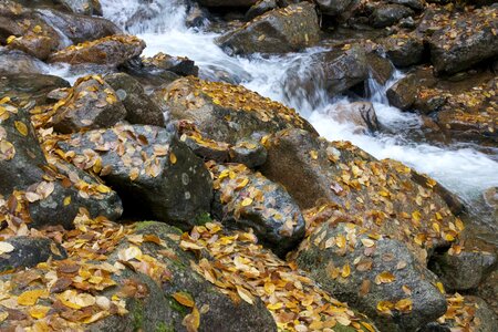 Flow rocks stones photo