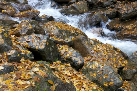 Flow rocks stones