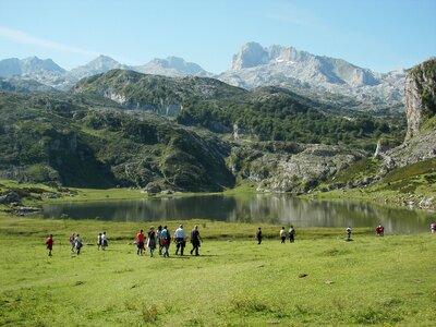 Nature green spain photo