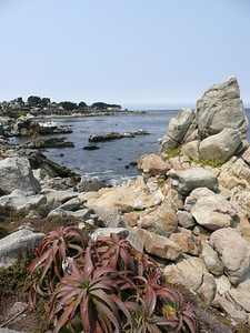 Usa pacific rocks photo