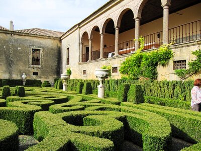 Farm bacalhôa palacio wine