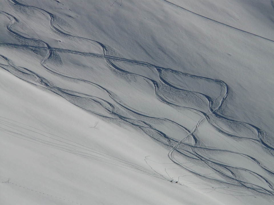 Trace curves powder snow