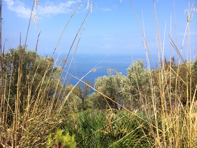 View sea sea view