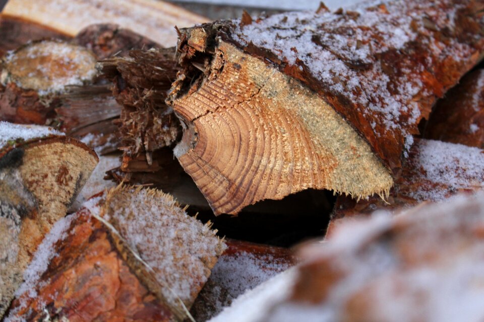 Holzstapel firewood stack stacked up