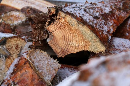 Holzstapel firewood stack stacked up
