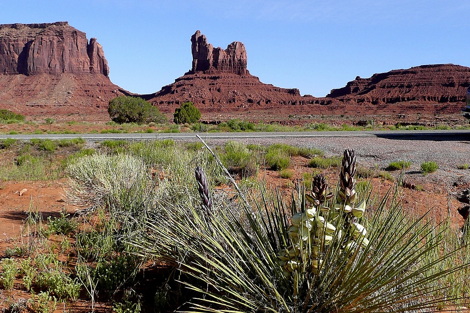 Erosion rocks desert