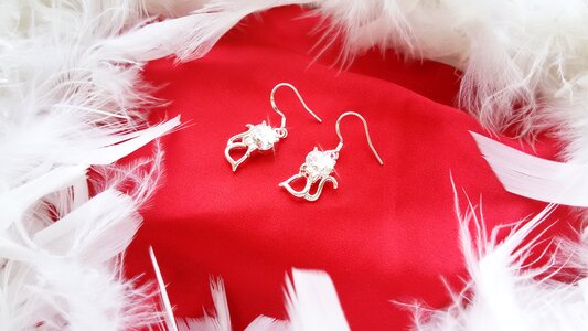 Earrings jewelry crystal