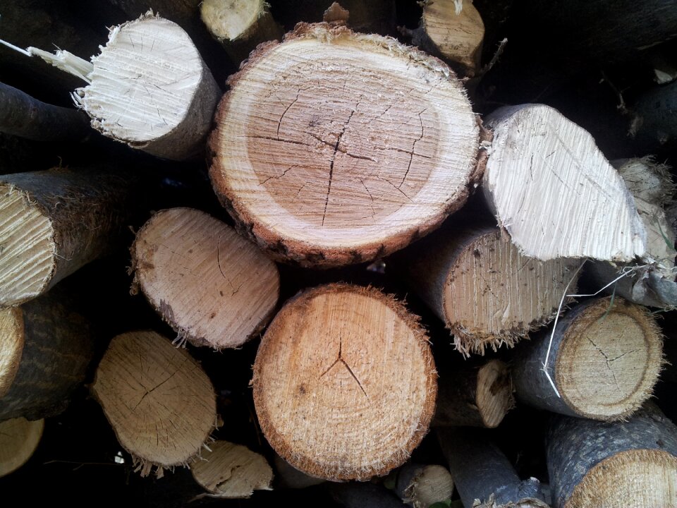 Forest woodcutter fireplace