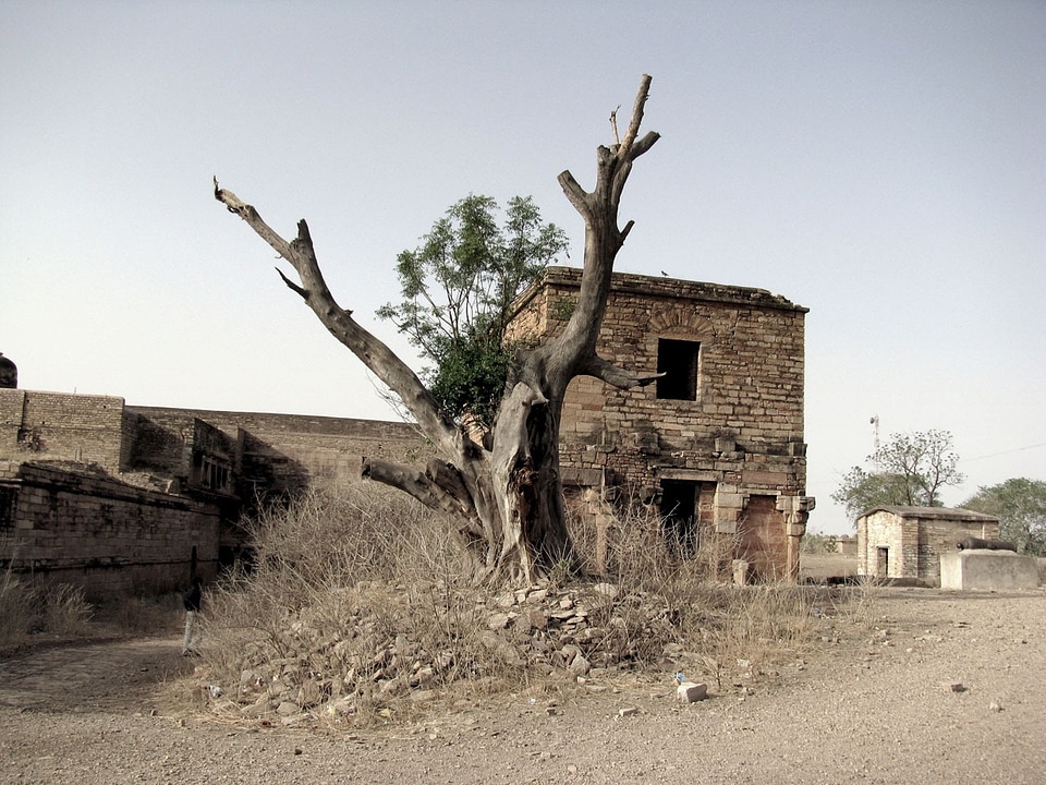 Dry grass walls photo