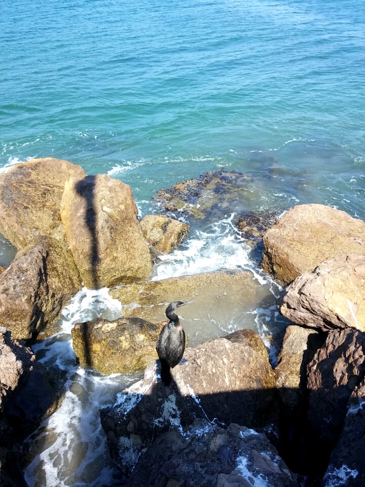 Beach port sea