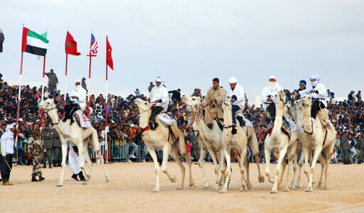 Camel racing douz bedouin photo