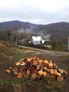 Firewood landscape journey