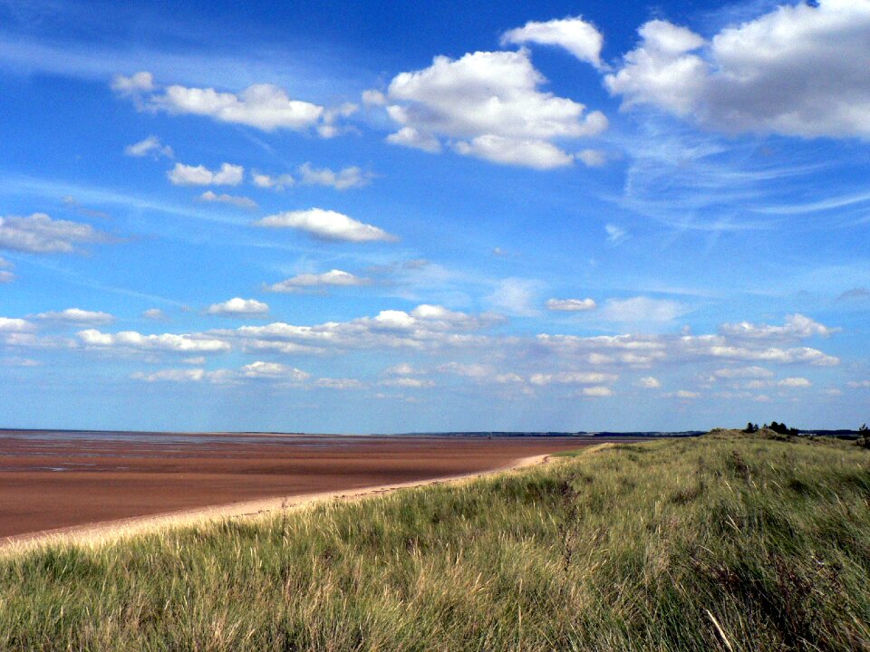 Coast beach landscape