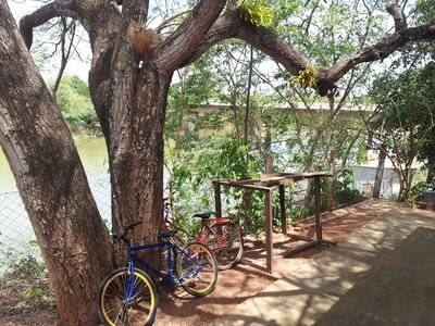 Nature rio bike