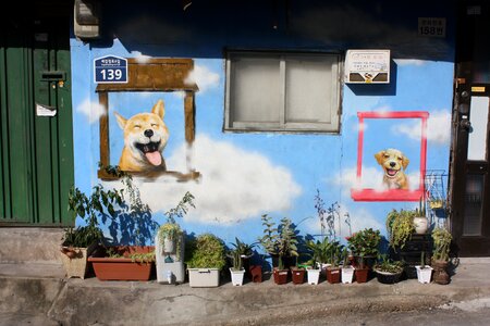 Puppy wall graffiti