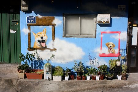 Puppy wall graffiti photo