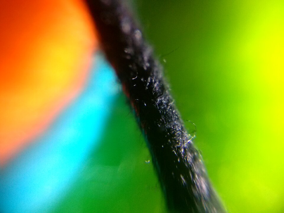 Macro color lines