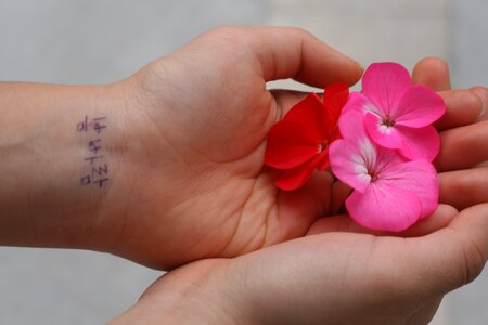 Pink red korean writing